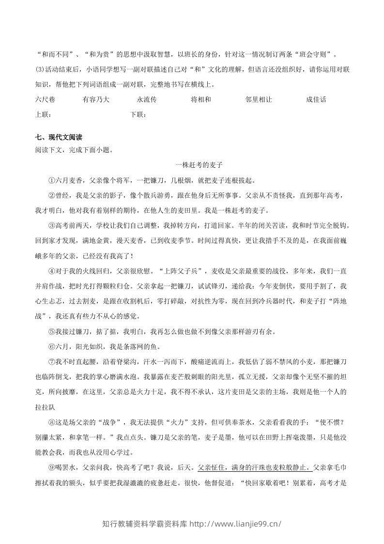 图片[3]-2022-2023学年河南省洛阳市嵩县八年级下学期期末语文试题及答案(Word版)-学霸资料库学科资源下载