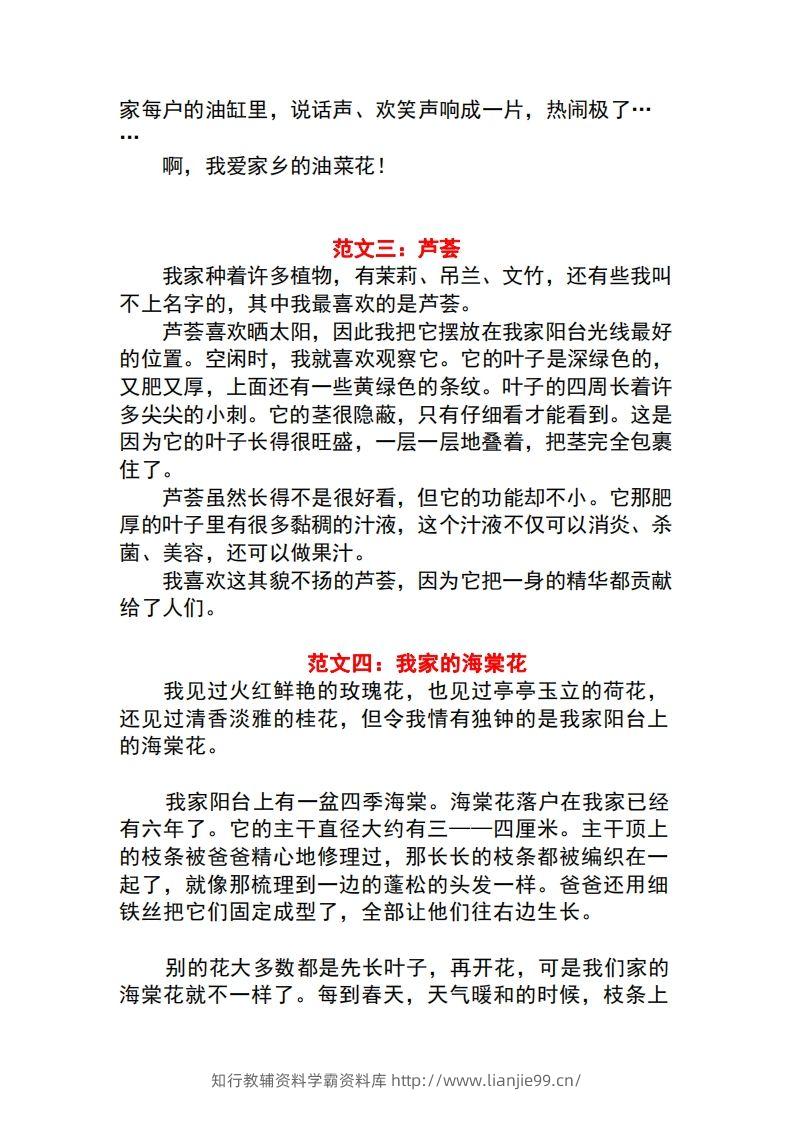 图片[2]-三年级语文下册1-8单元作文范文-学霸资料库学科资源下载
