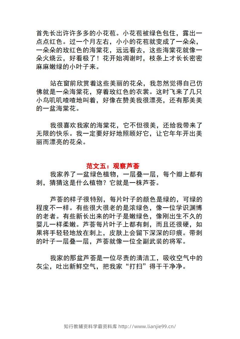 图片[3]-三年级语文下册1-8单元作文范文-学霸资料库学科资源下载