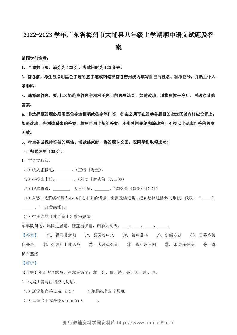 2022-2023学年广东省梅州市大埔县八年级上学期期中语文试题及答案(Word版)-学霸资料库学科资源下载