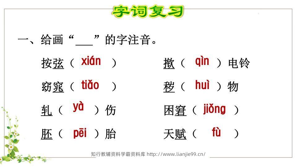 图片[2]-五年级语文下册第8单元知识点课件（部编版）-学霸资料库学科资源下载