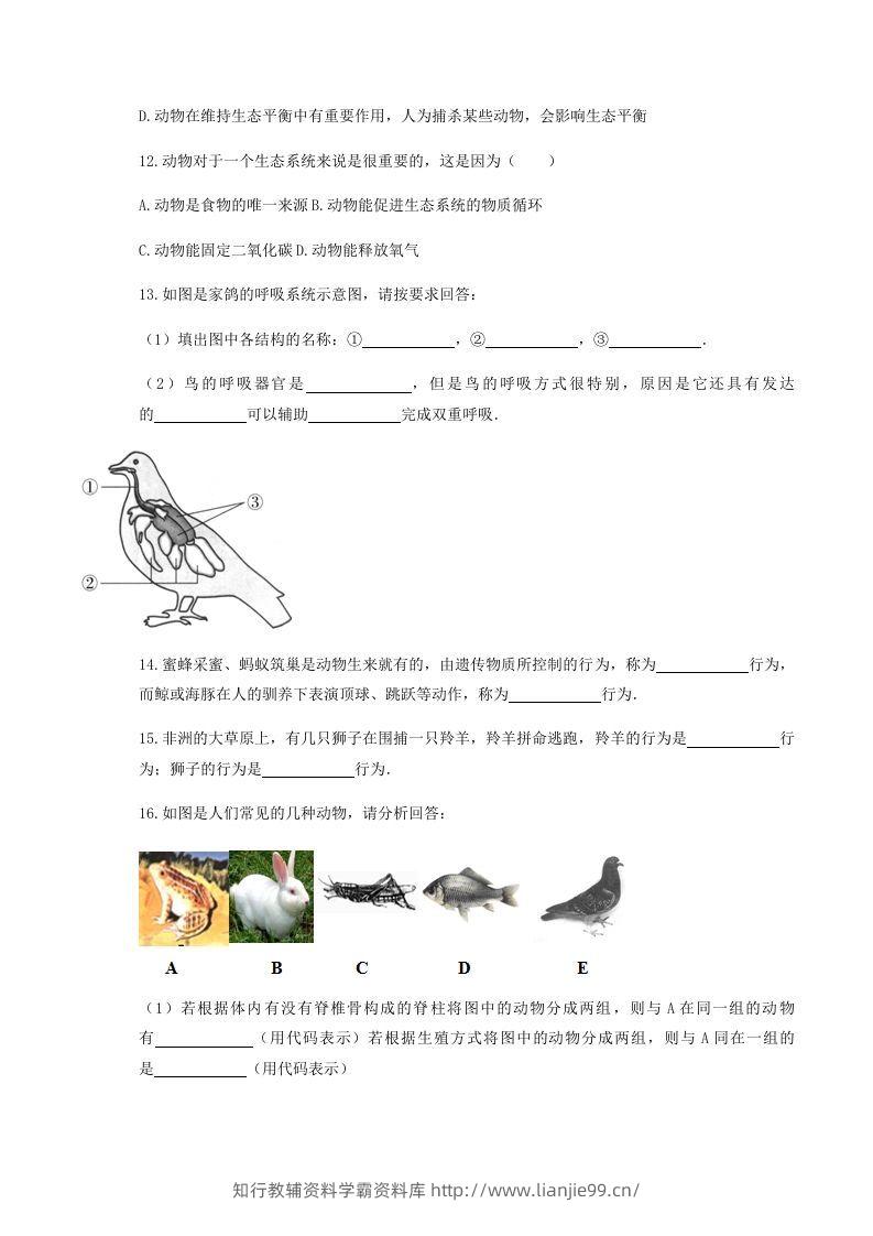 图片[3]-2020-2021学年湖北省黄冈市红安县八年级上学期期中生物试题及答案(Word版)-学霸资料库学科资源下载