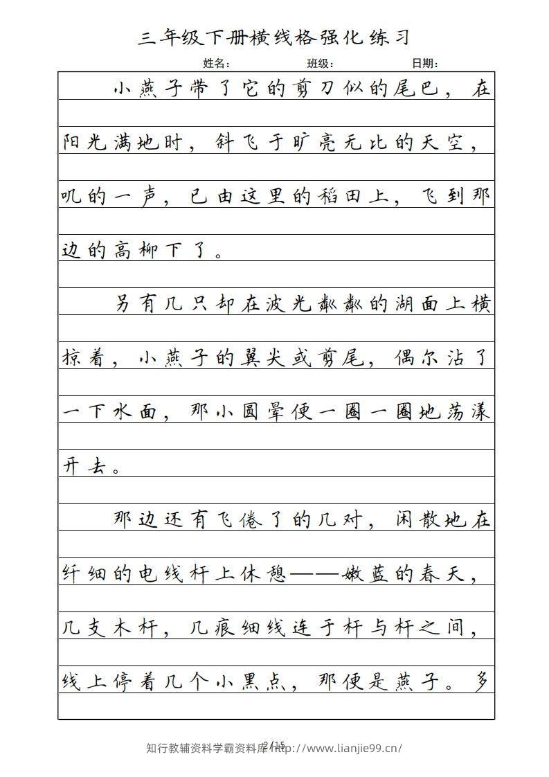 图片[2]-三年级语文下册横线格（部编版）-学霸资料库学科资源下载