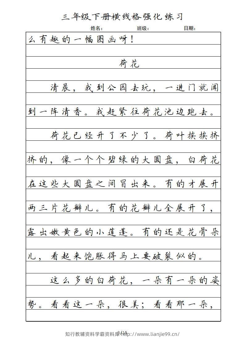 图片[3]-三年级语文下册横线格（部编版）-学霸资料库学科资源下载