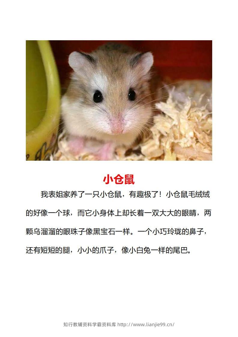 图片[2]-二年级上册语文口语交际一“有趣的动物”指导及范文-学霸资料库学科资源下载