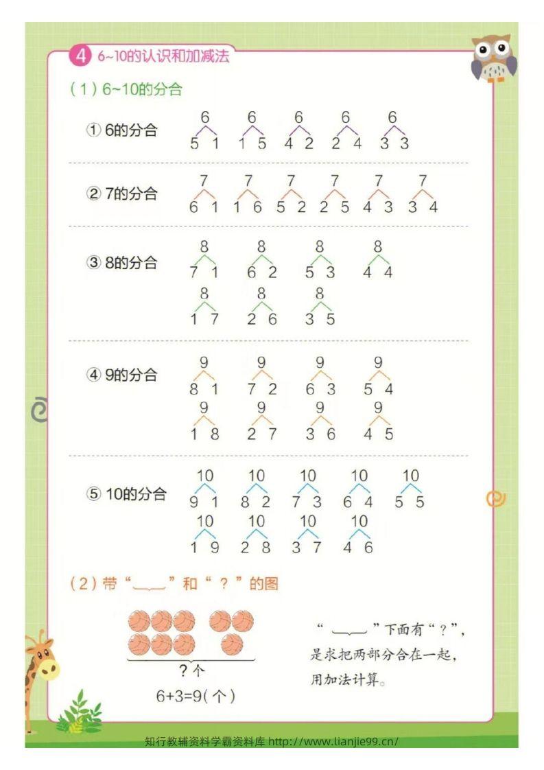 图片[3]-❤一年级上册数学知识点汇总RJ-学霸资料库学科资源下载