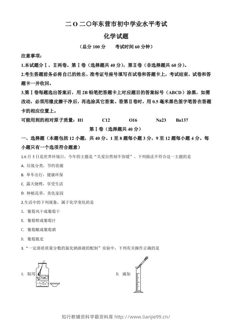 山东省东营市2020年中考化学试题（空白卷）-学霸资料库学科资源下载