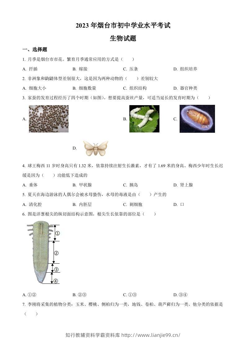 2023年山东省烟台市中考生物真题（空白卷）-学霸资料库学科资源下载