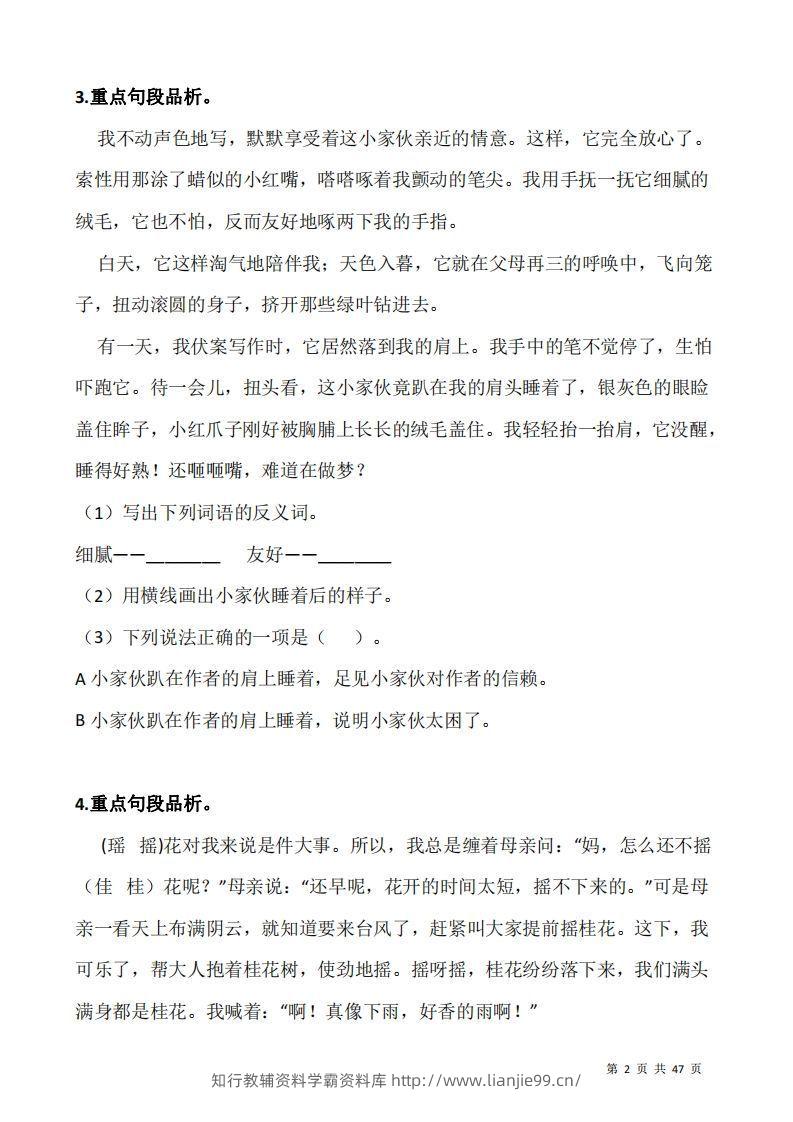 图片[2]-五上语文：阅读专项训练习题50道-学霸资料库学科资源下载