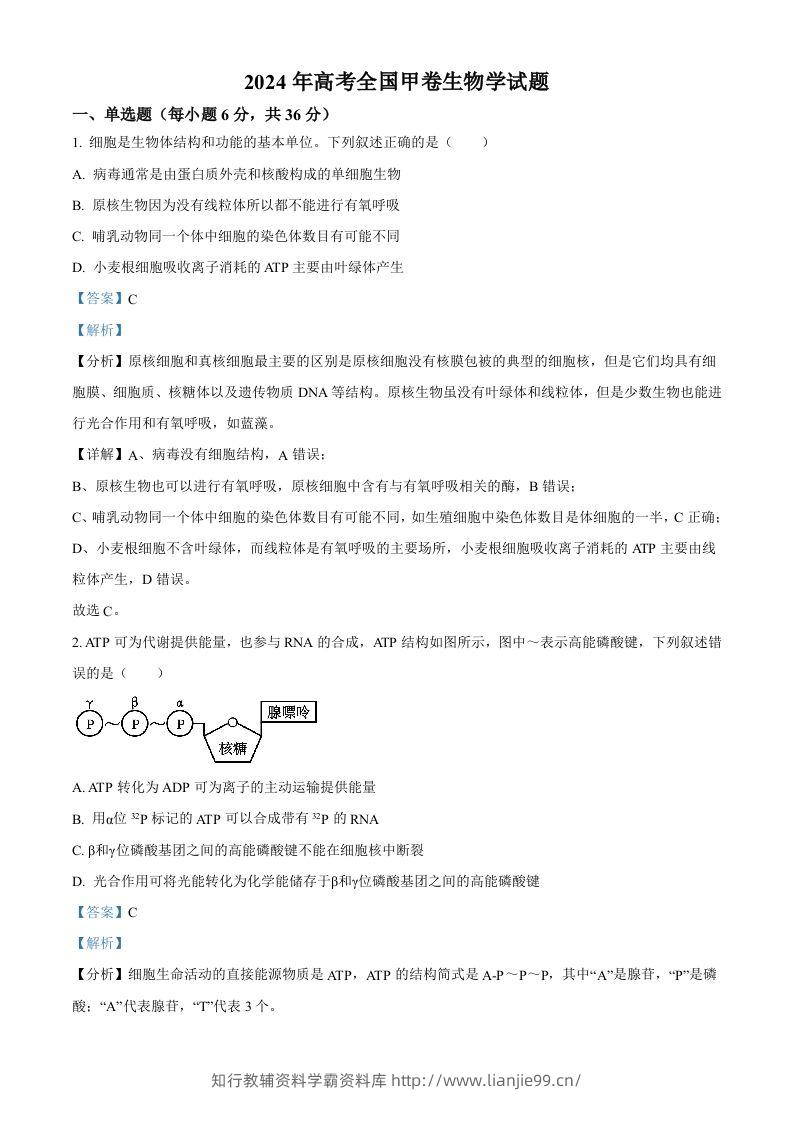 2024年高考生物试卷（全国甲卷）（含答案）-学霸资料库学科资源下载