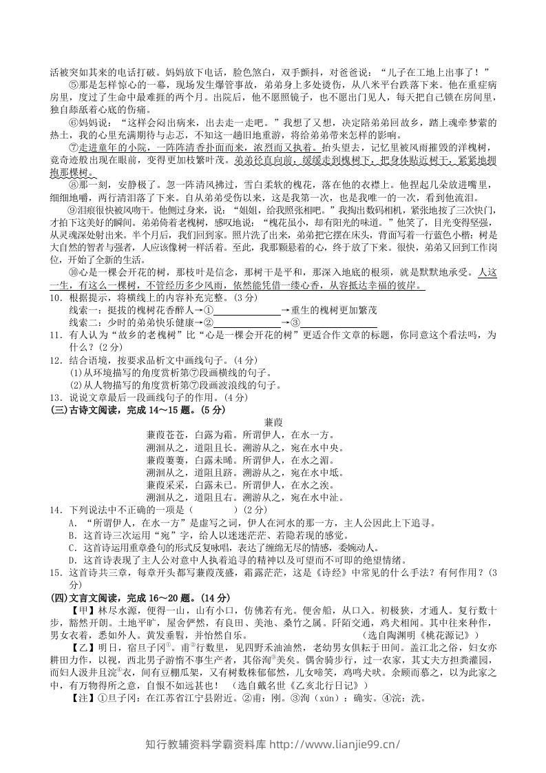 图片[3]-2023-2024学年广西河池市宜州区八年级下学期期中语文试题及答案(Word版)-学霸资料库学科资源下载