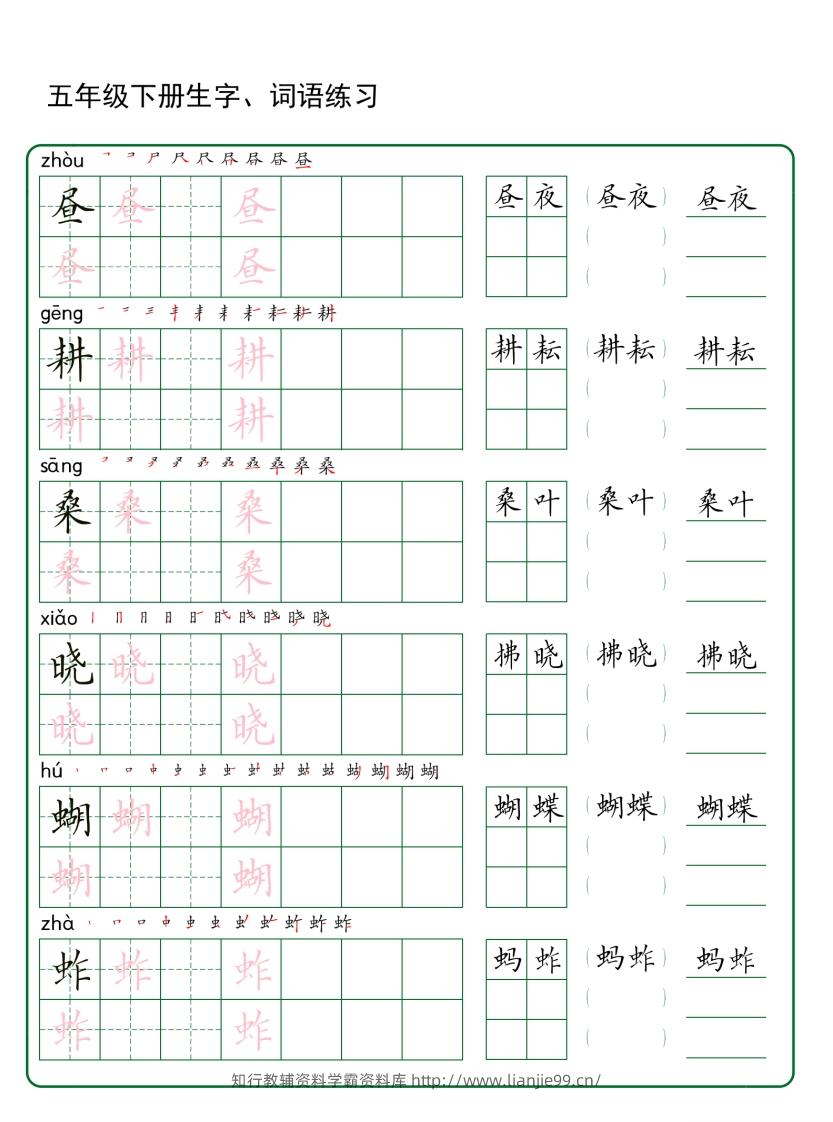 五年级下册语文生字词语练字（30页秋版）-学霸资料库学科资源下载