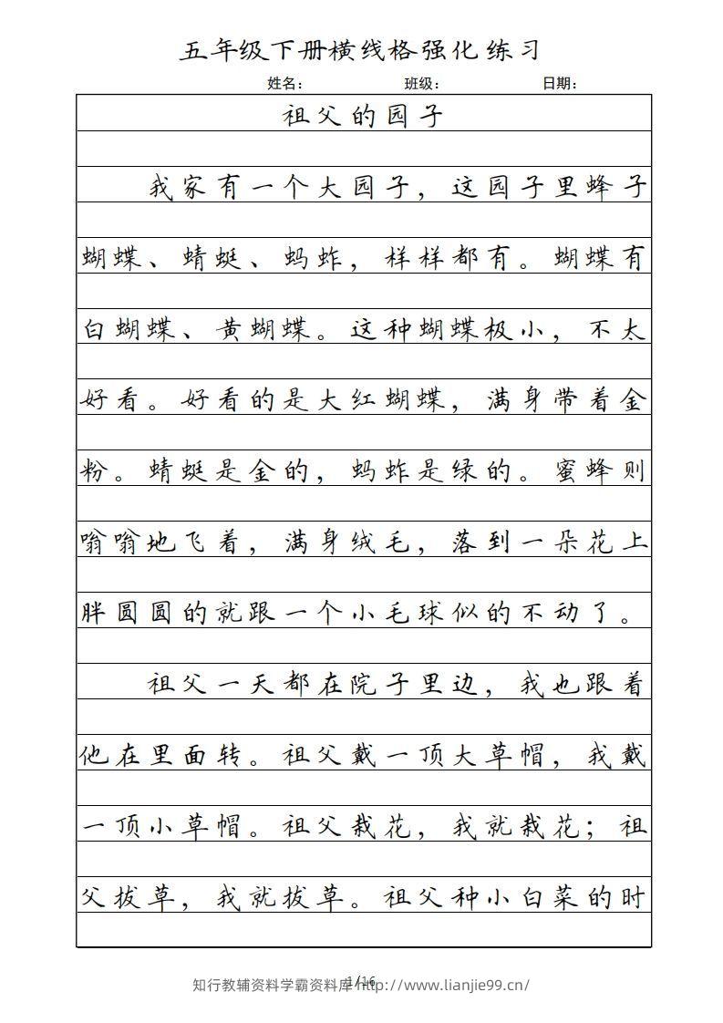 五年级语文下册横线格（部编版）-学霸资料库学科资源下载