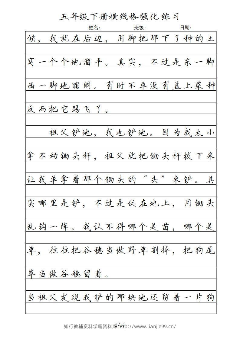 图片[2]-五年级语文下册横线格（部编版）-学霸资料库学科资源下载