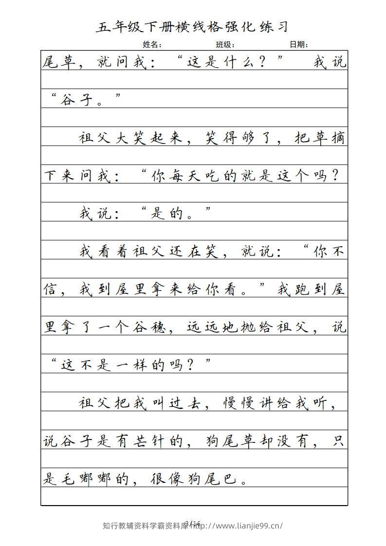 图片[3]-五年级语文下册横线格（部编版）-学霸资料库学科资源下载