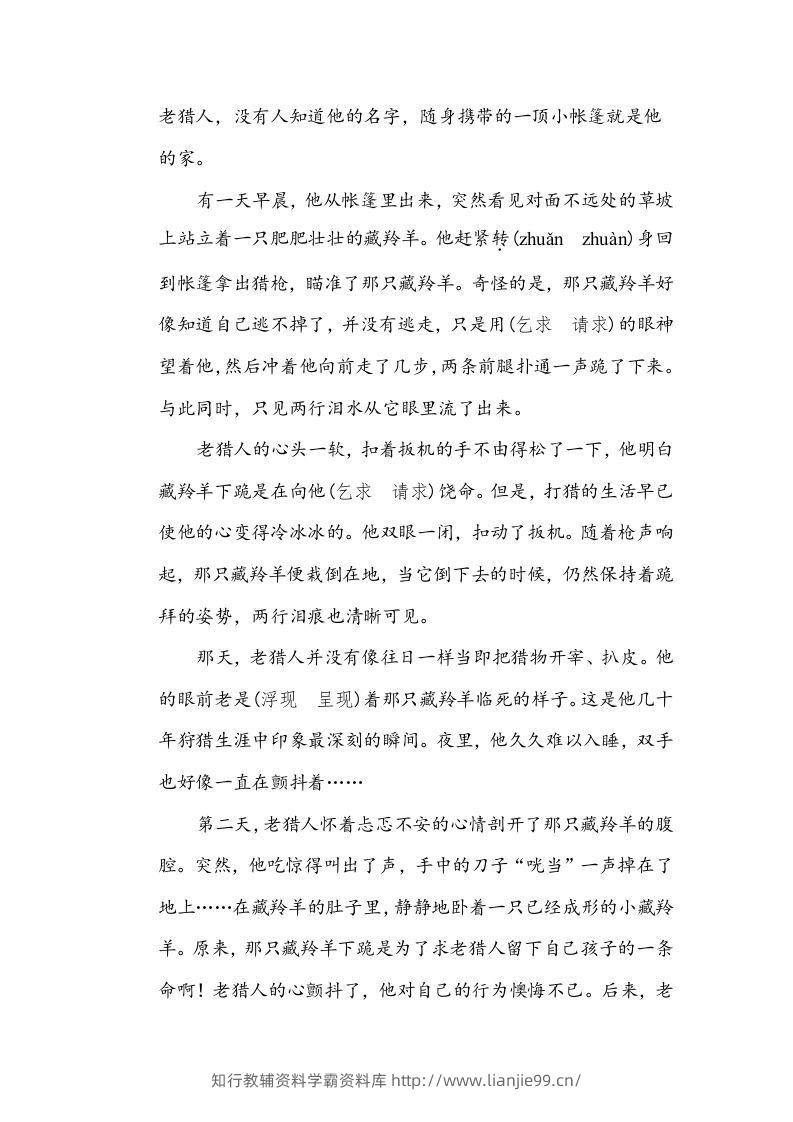 图片[3]-五年级语文下册近义词、反义词（部编版）-学霸资料库学科资源下载