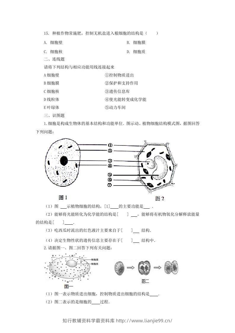 图片[3]-七年级上册生物第二单元第一章第四节试卷及答案(Word版)-学霸资料库学科资源下载
