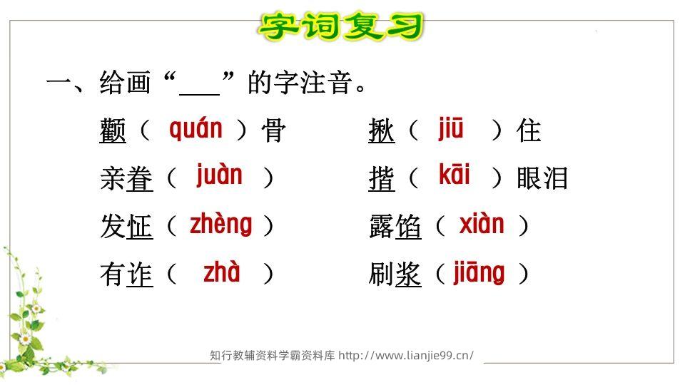 图片[2]-五年级语文下册第5单元知识点课件（部编版）-学霸资料库学科资源下载