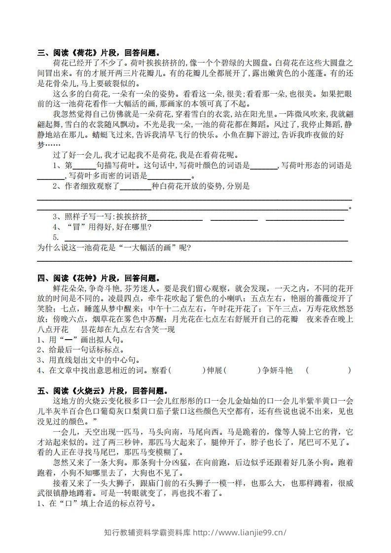 图片[2]-部编版三年级语文下册课内阅读专项训练-学霸资料库学科资源下载