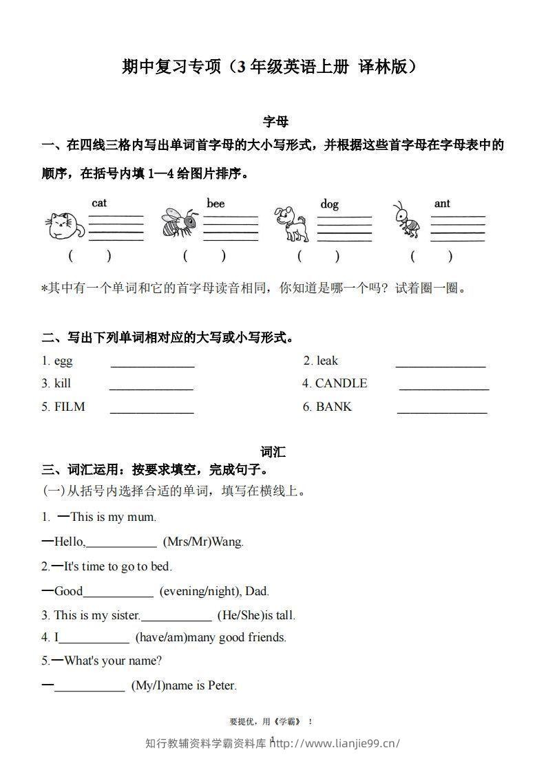 期中复习专项（三上英语译林版）-学霸资料库学科资源下载