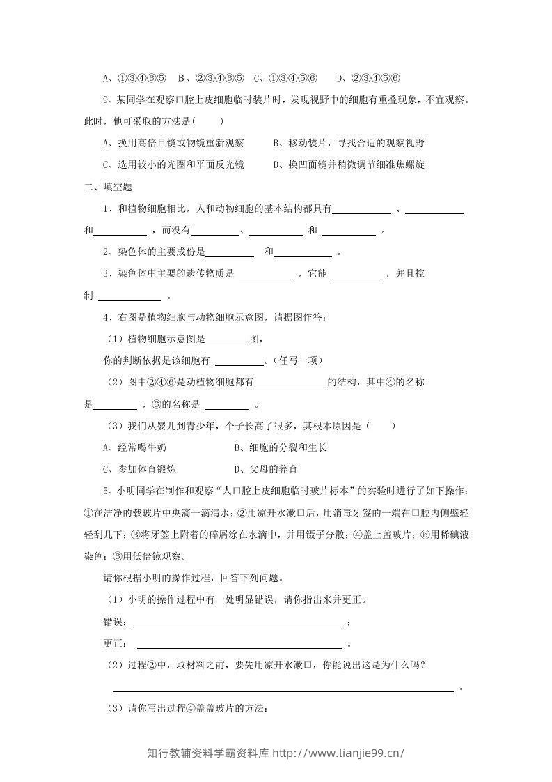 图片[2]-七年级上册生物第二单元第一章第三节试卷及答案(Word版)-学霸资料库学科资源下载
