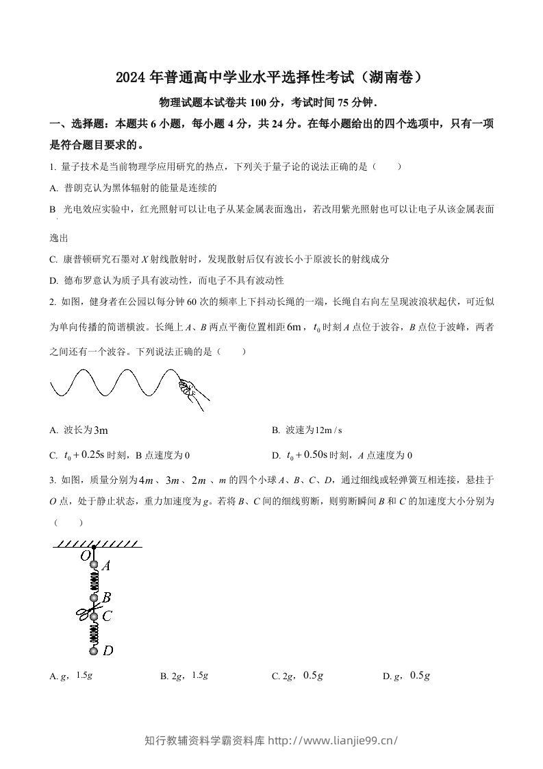 2024年高考物理试卷（湖南）（空白卷）-学霸资料库学科资源下载