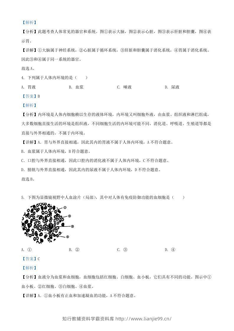 图片[2]-2024年上海中考生物试题及答案(Word版)-学霸资料库学科资源下载