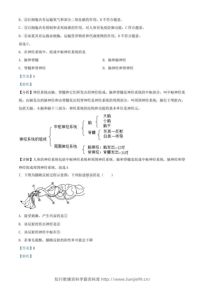 图片[3]-2024年上海中考生物试题及答案(Word版)-学霸资料库学科资源下载