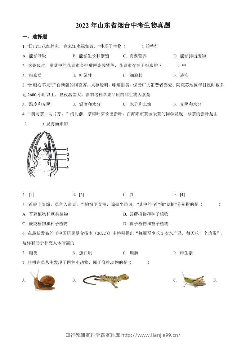 2022年山东省烟台中考生物真题（空白卷）-学霸资料库学科资源下载