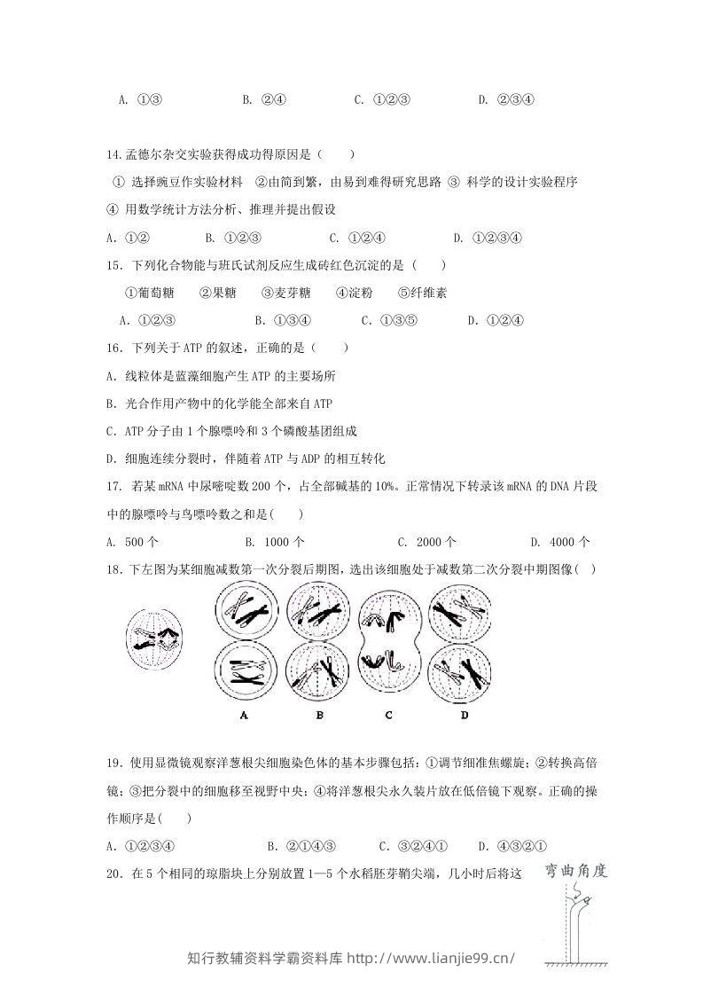 图片[3]-2010年上海高三部分重点中学二次联考生物真题及答案(Word版)-学霸资料库学科资源下载