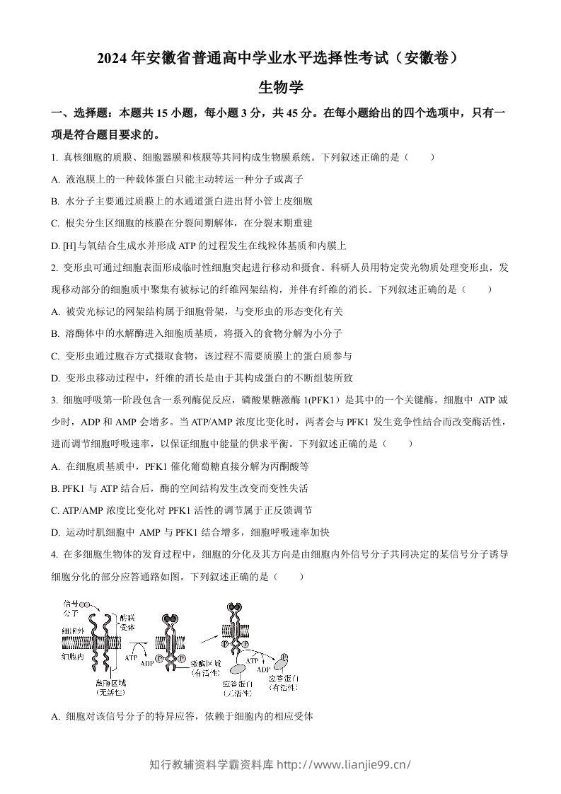 2024年高考生物试卷（安徽）（空白卷）-学霸资料库学科资源下载