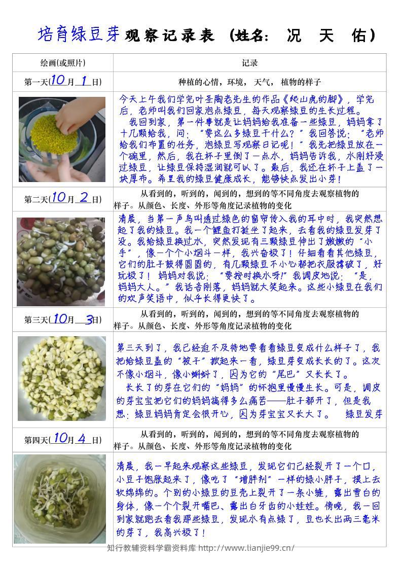 四上语文习作三：培育绿豆芽观察日记2《写观察日记》4页-学霸资料库学科资源下载