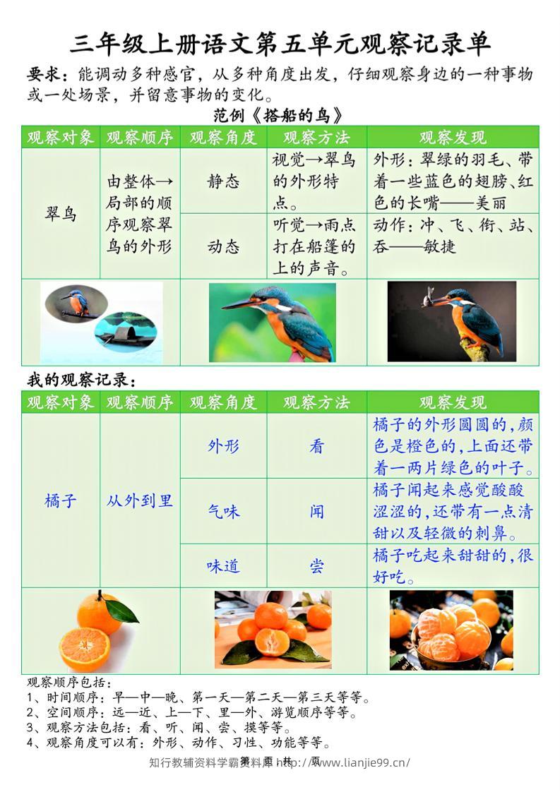 三上语文第五单元观察记录单（空白+答案14页）-学霸资料库学科资源下载