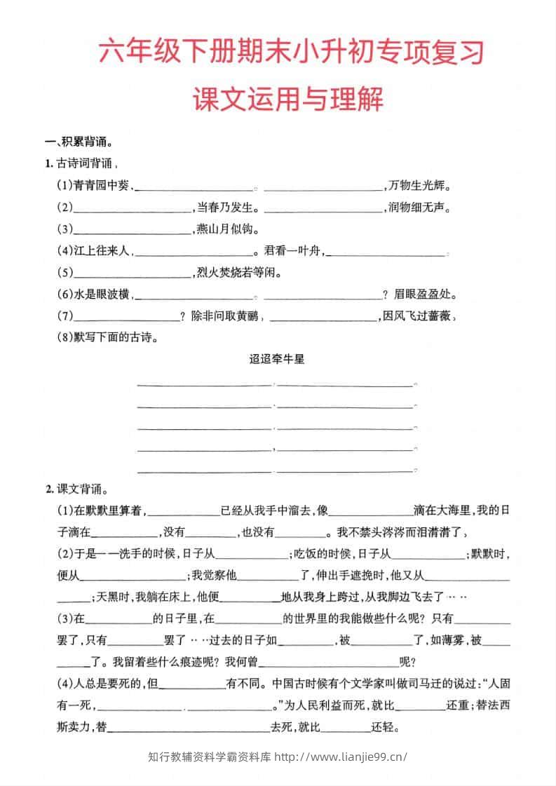 六年级下语文小升初课文运用与理解专项练习-学霸资料库学科资源下载